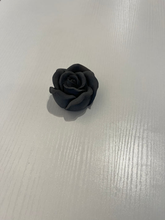 Concrete Rose